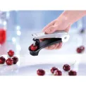 Dropio drylownica for cherries - 2