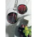 Scala Digital Thermometer - 2