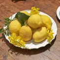 Ducale plate 34cm for buffet - 3