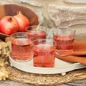 Zestaw 6 kieliszków Babila 50ml do wódki - 8
