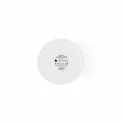 Wazon Wrendale designs 14,6cm country mice - 3