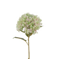 Green Hydrangea Branch 110cm - 1
