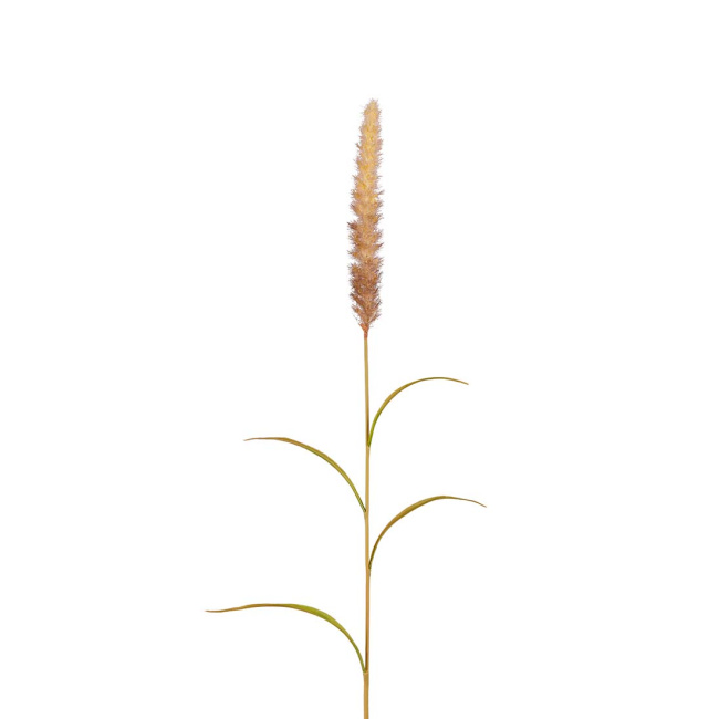 Gałązka 90cm trawa suszona amarantus - 1