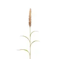 Dried Grass Branch 85cm - 1