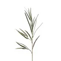 Gałązka kwiat Grevillea 80cm - 1