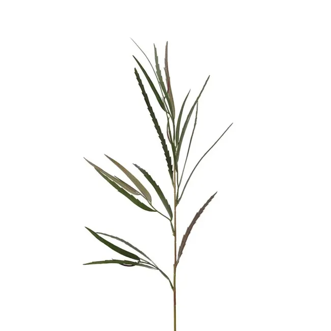 Gałązka kwiat Grevillea 80cm