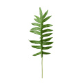 Fern Leaf 35cm - 1