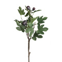 Fig Tree Branch 90cm - 1