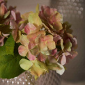 Flower Poesia 18cm - Hydrangea - 3