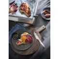 Grill Profi Plus Plancha - 5
