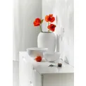Misa Bianco (1 sztuka - S) - 3