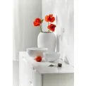 Bianco Bowl (1 piece - S) - 2