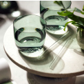 2 Like Glass Sage Tumblers - 10