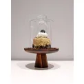 Glass dome 10,5x13cm - 2
