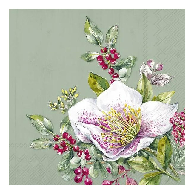 Napkins 33x33cm Carol Green 20pcs.