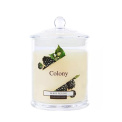 Colony Berry Picking Scented Candle 10x14.3cm 48h - 1