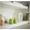 Homescenter 180ml Fragrance Diffuser Feeleng Pawsome - 2