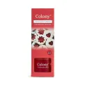 Dyfuzor zapachowy Colony 100ml Cinnamon Bakes - 2
