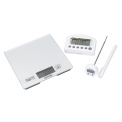 Taylor Silver Scale + Thermometer + Timer Set - 1