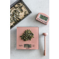 Taylor Rose Gold Scale + Thermometer + Timer Set - 5