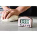 Taylor Rose Gold Scale + Thermometer + Timer Set - 7