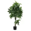 Kwiat pachira w doniczce 160cm - 1