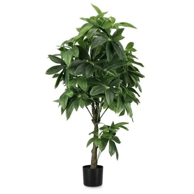 Kwiat pachira w doniczce 160cm - 1