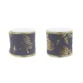 Decorative Ribbon 6.3x270cm Blue (2 pattern mix) - 1