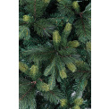 Christmas Tree Tauri 180x105cm green - 2