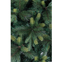 Christmas Tree Tauri 210x130cm green - 2