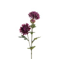 Chrysanthemum Flower 60cm Purple - 1