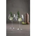 Komplet 2 kieliszków Auris Swarovski 780ml - 2