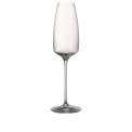 TAC Gropius Champagne Glass 300ml - 1
