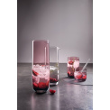 Sarabi Berry Glass 200ml - 2