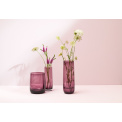 Ajana Berry Vase 29x10,5cm purple - 4
