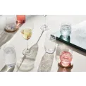 Kieliszek Botanic Garden 260ml - 2