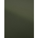 Sheet 100x220cm Organic Jersey Forest Green - 4