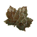 Set of 2 Sfogliami platters in the shape of a plane tree leaf - 2