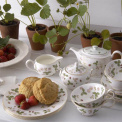 Wild Strawberry Tea Cup with Saucer - 3