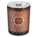 Scented candle Evanescence 240g 45h - 1