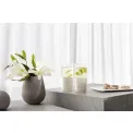 Glass Manufacture Rock Blanc 300ml white long drink - 6