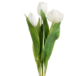 Tulipan 36cm biały (1 sztuka mix)