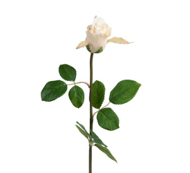 Róża 50cm biała