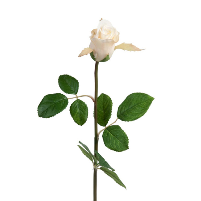 Rose 50cm white - 1