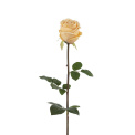 Rose 75cm Yellow - 1