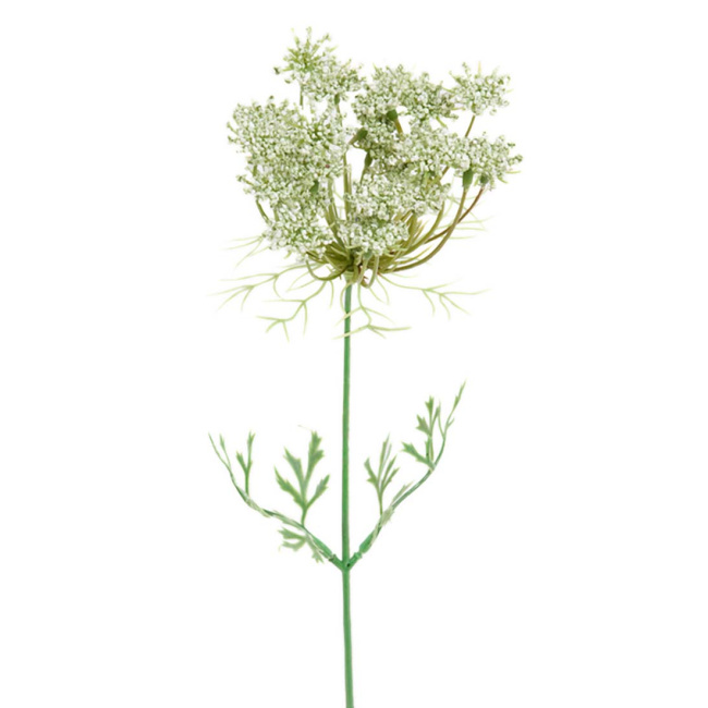 Trachelium Branch 45cm White