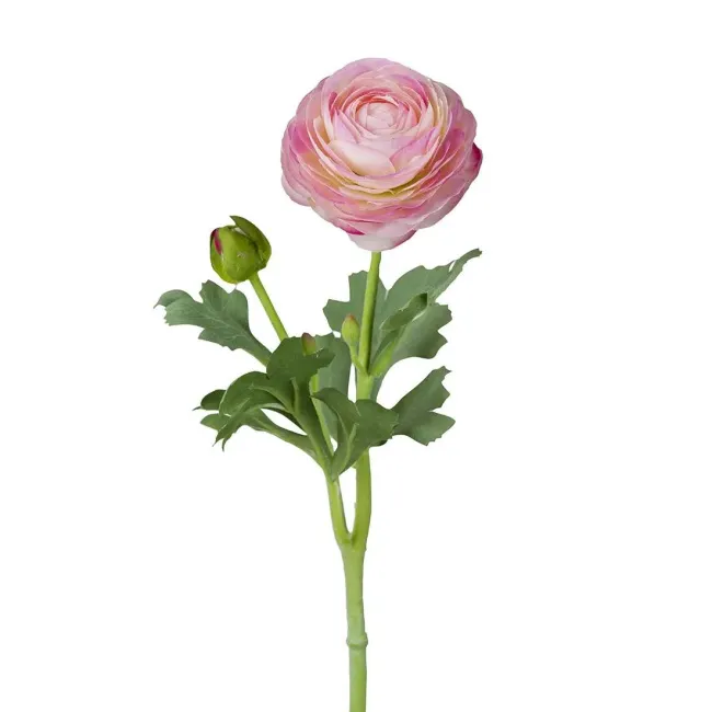 Jaskier gałązka 50cm różowy
