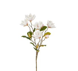 Magnolia gałązka 90cm 