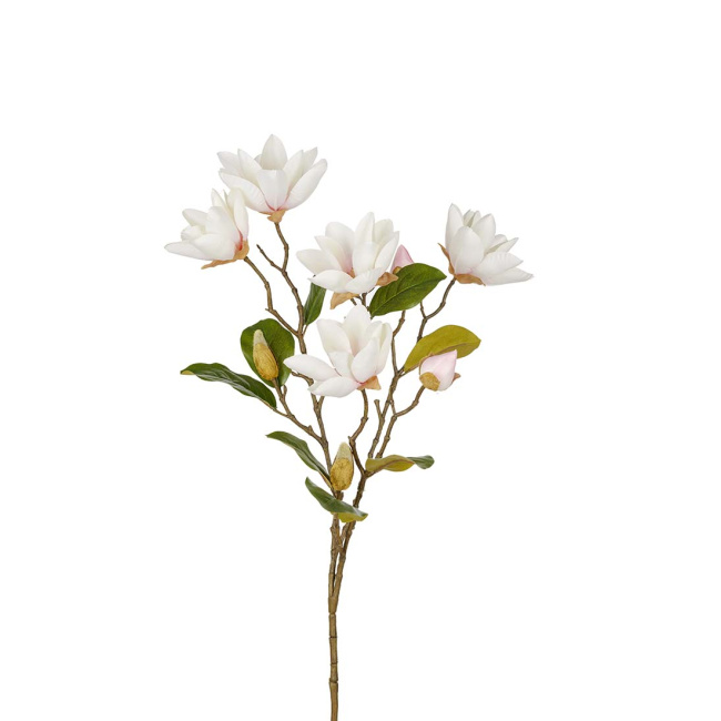 Magnolia Branch 90cm