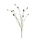 Gałązka Pimpinell 80cm - 1